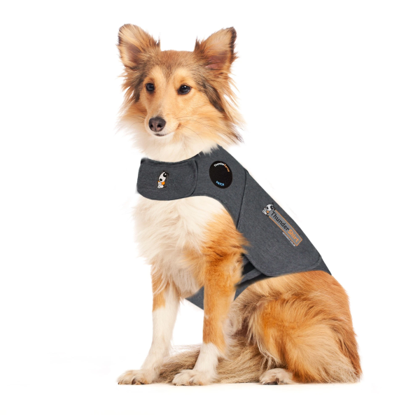 ThunderShirt