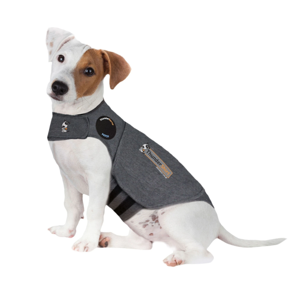 ThunderShirt