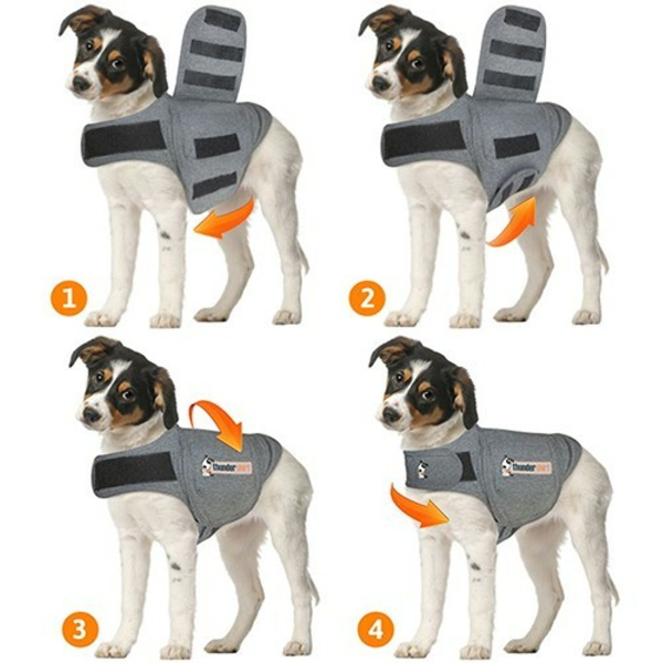 How to dress it / fit it on your dog? - Method 2