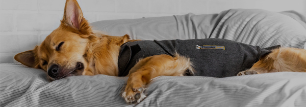 ThunderShirt