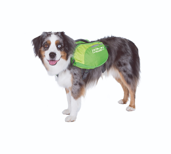 Equipped w/ Adjustable Straps for a secure fit & Reflective Piping Accents w/ Vibrant Colors for enhanced visibility for your dog