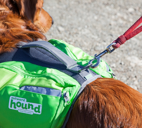 Equipped with 4 Expandable Pockets & a D-Ring Leash Clip