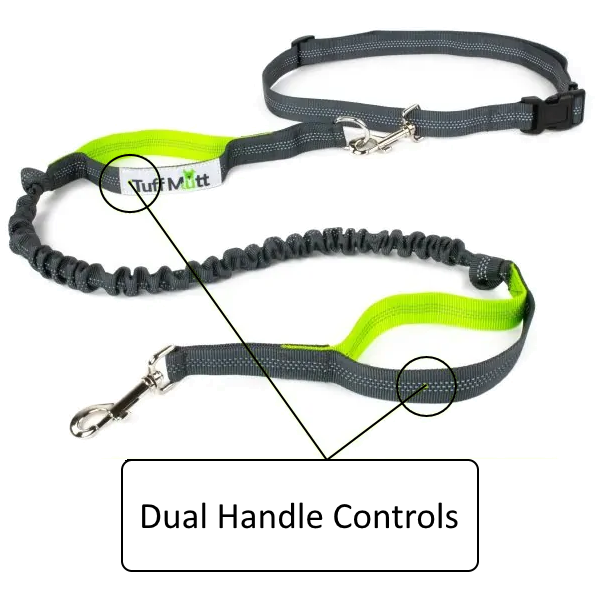 Equipped with Dual Handles for extra control of your pup