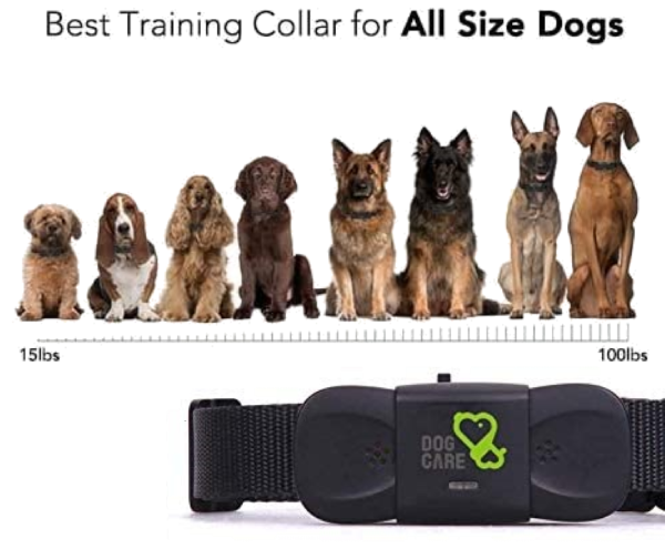 Dogcare Dog Training Collar TC-01