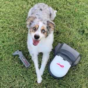 SwiftPaws-Home-Lure-Coursing-Machine