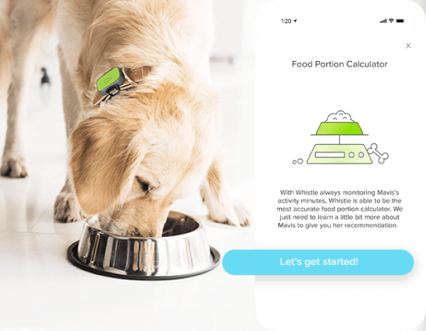 Food Portion Calculator