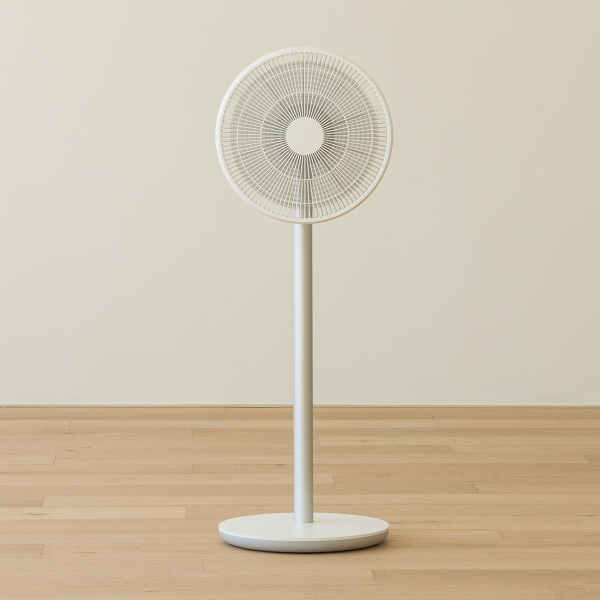 battery operated standing fan