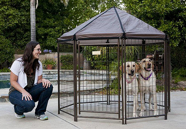 advantek dog kennel