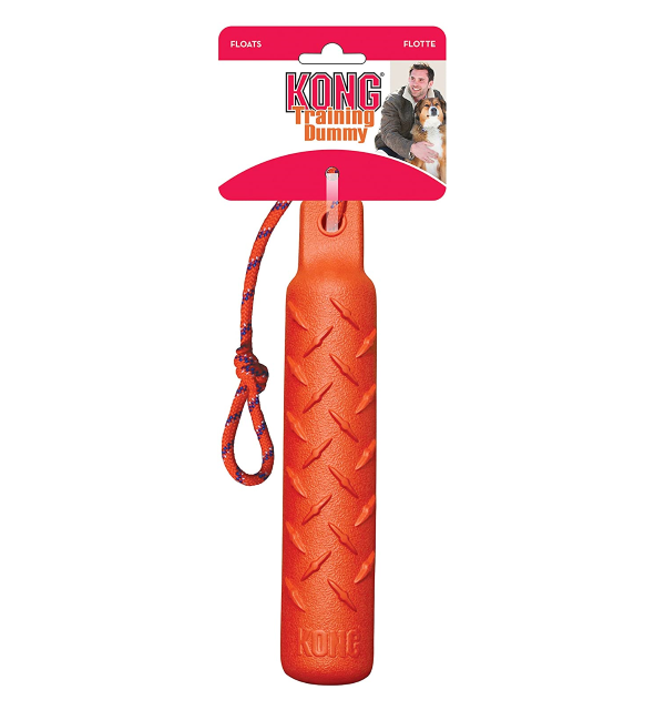 KONG TRAINING TOY