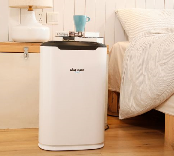 Okaysou AirMax8L Medical Grade H13 True HEPA Air Purifier (REVIEW)