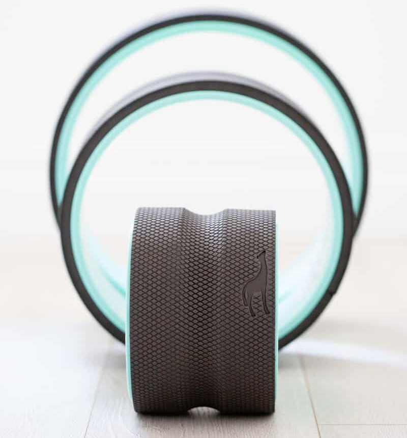 Chirp Wheel+
