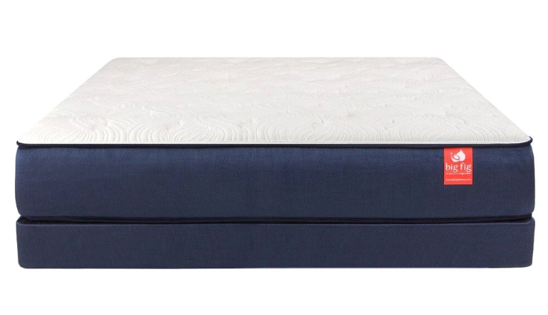 Big Fig Mattress + Foundation