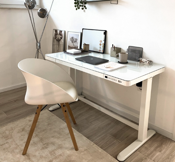 FlexiSpot Standing Desk