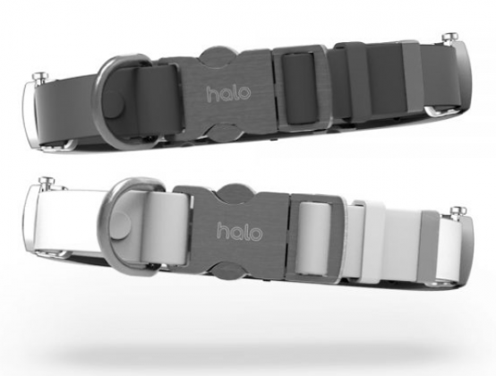 halo 2 plus dog collar cost