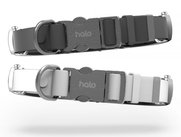 Halo Collar