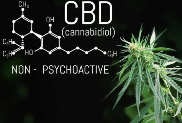 CBD Composition