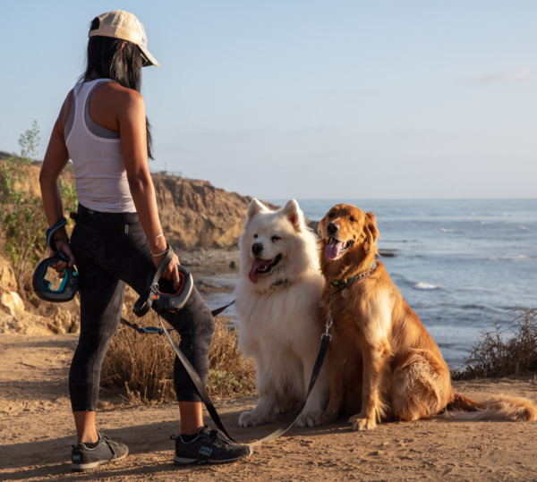 Spleash Leash