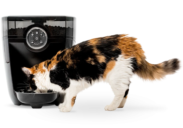 litter robot automatic feeder litter robot automatic feeder