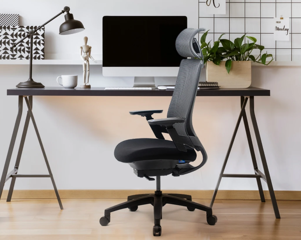 Nexvoo Health Adjustable Desk Chair