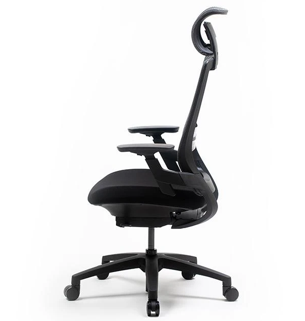 Ergonomic Lumbar Support