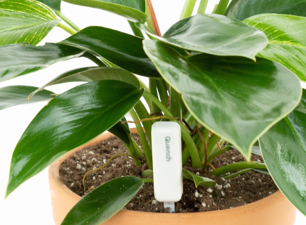 Quench Smart Plant-Watering Sensor System