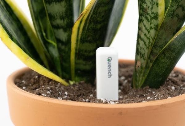 Quench Smart Plant-Watering Sensor System