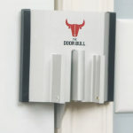 3. The Door Bull (1)