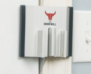 The Door Bull