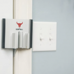 3. The Door Bull (2)