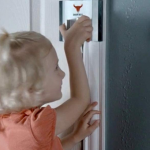 3. The Door Bull (8)