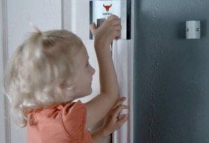 3. The Door Bull (8)