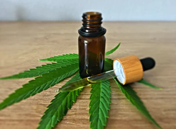 Top CBD Oil Applications