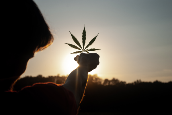 Using Cannabis to reduce stress and anxiety
