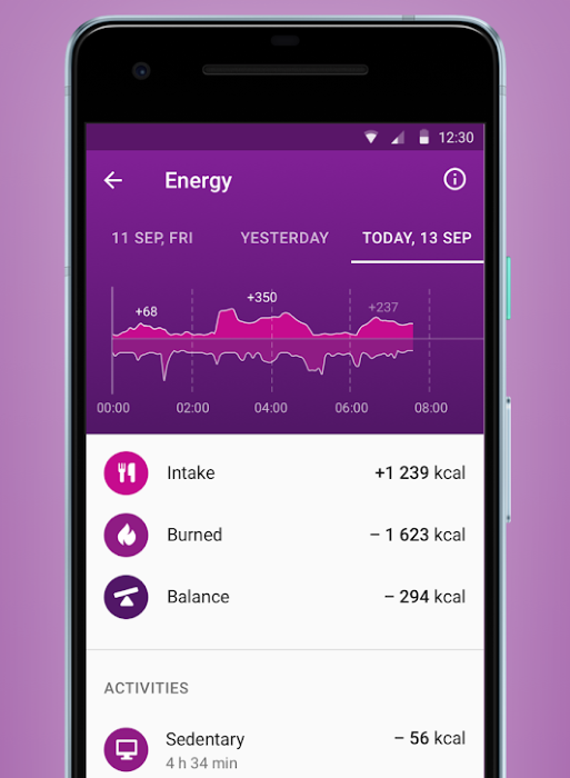 HEALBE App - Calories Tracking & Energy Balance