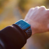 1. Wearable Technology (1)