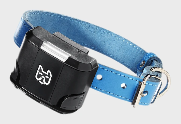 Wagz Freedom Smart Dog Collar