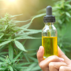 1. CBD Oil Qualities To Look For (1)