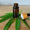 1. CBD Oil Qualities To Look For (2)