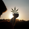 1. Items Weed Smokers Should Own (2)