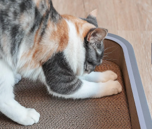 Scratching Pad for Cats