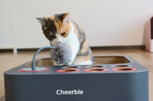Pom Pom Stick for Cats