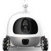 3. Rocki Robot (9)