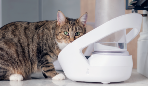Sure Petcare Felaqua Connect