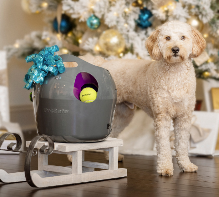 PetSafe Automatic Ball Launcher