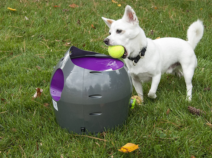 PetSafe Automatic Ball Launcher