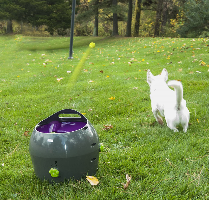 Ball Launcher for Dogs