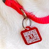3. ZuluTails Pet ID System and Lost Pets Finding Service (5)