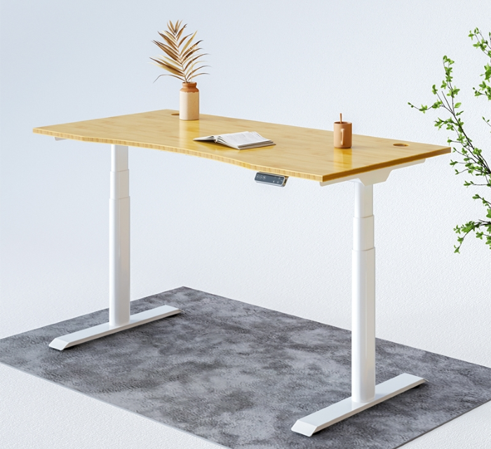 FlexiSpot Kana Pro Bamboo Standing Desk