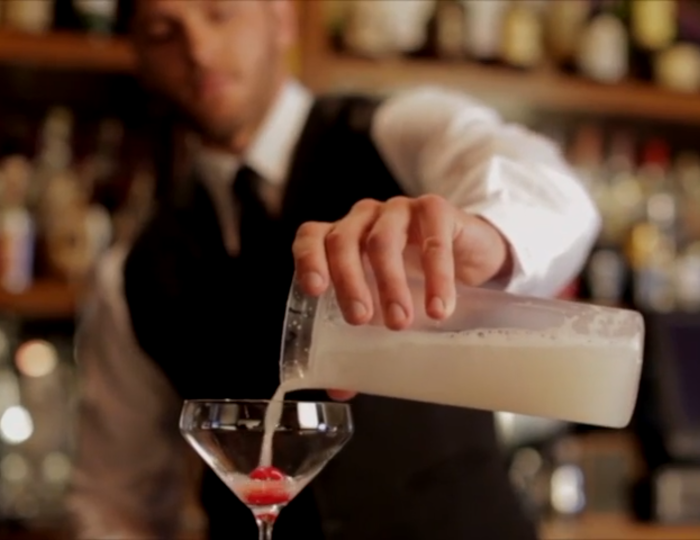 Professional Cocktail Shaker