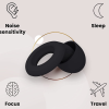 2. Loop Earplugs (2)